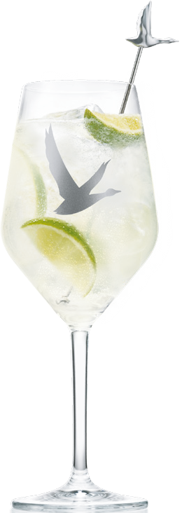 Grey Goose Grand Fizz