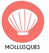 Mollusques et produits à base de mollusques