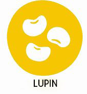 Lupins et produits à base de lupin
