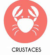 Crustacés et produits à base de crustacés
