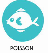 Poissons et produits à base de poissons