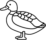 Magret de canard entier